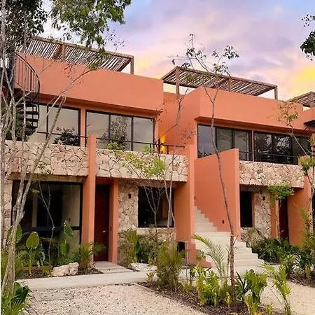 Discover, Explore Y Enjoy Tulum